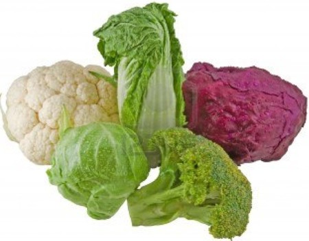 The Cabbage Family