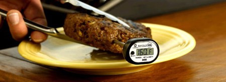 Use a Thermometer - © beefinfo.org