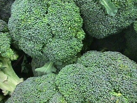 Broccoli - © 2008 nymanfarms.com