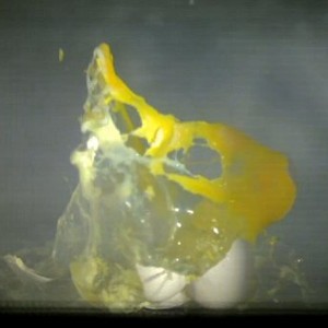 Egg in a Microwave - © dailymail.co.uk