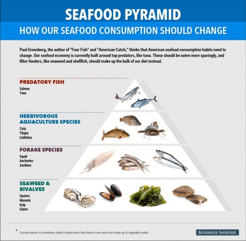 The Seafood Pyramid small- © 2014 Business Insider