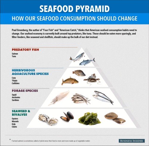 The Seafood Pyramid small- © 2014 Business Insider