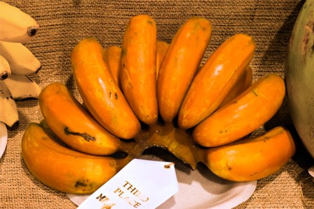 Orange Bananas - © bdavidcathell.com