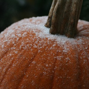 The Frost is on the Pumpkin - © typepad.com
