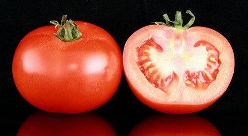 Nice and No So Nice Tomatoes - © warrencampdesign.com