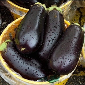 Eggplant Bounty - © growyourownveg.net