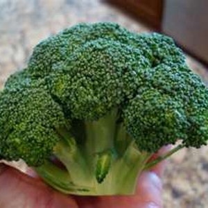 Broccoli Crowns - © longosblog.com