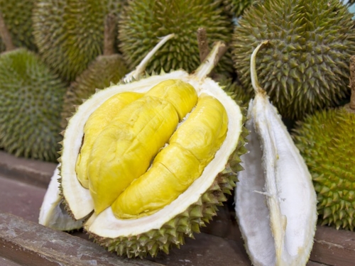 Durian Fruit - © danielcarruthers.com