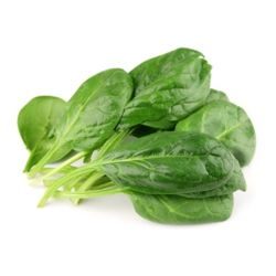 Spinach - © kontrolmag com.jpg