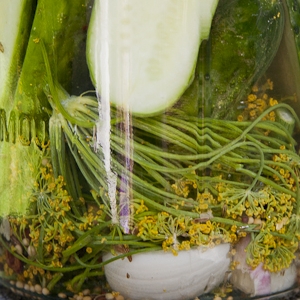 Homemade Garlic Dills - © thenotsosupermama.com