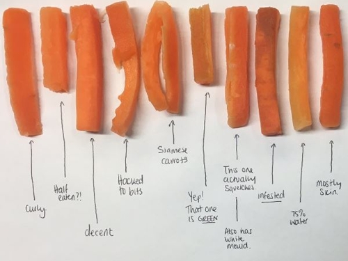 Bad Carrot Sticks - © 2016 Aaron Swift