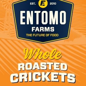Whole Crickets - © Entomo Farms