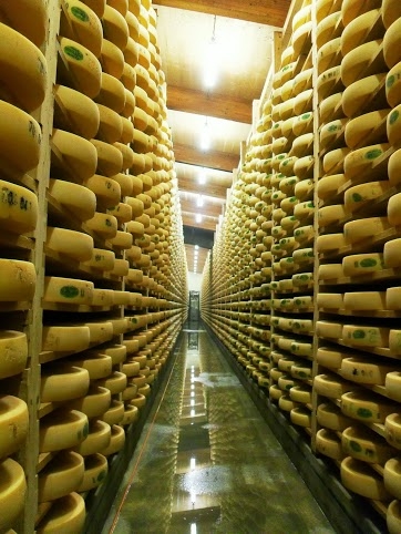 Surplus Cheese Languishes in Warehouses - © formaggiokitchen.com