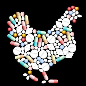 Antibiotics in Chicken - © Healthywoman.com
