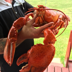 PEI Lobster - © foodgypsy.ca