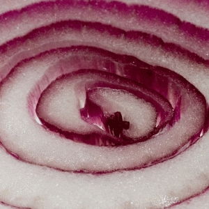 Red Ring Onion © indiapublicmedia.org
