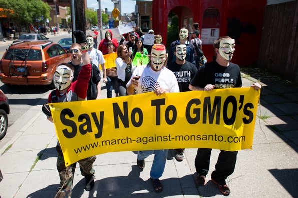 Anti GMO Protest - © Courtney Sacco - AnnArbor.com