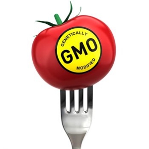 GMO Food - © foodsafetynews.com - Marler Clark