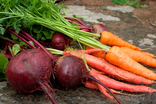 Carrots and Beets - © annabel-langbein.com