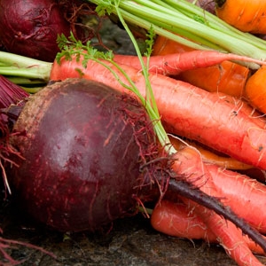 Carrots and Beets - Detail - © annabel-langbein.com