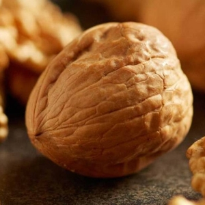 A Walnut - © ca-walnuts.com