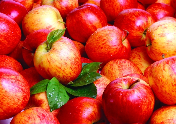 Apples - © newsread.in