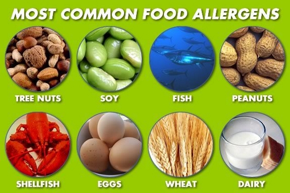 Common Allergens © northshorekids.com