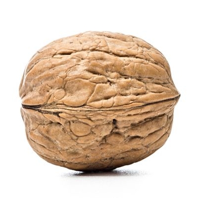 A Walnut - © clickhole.com