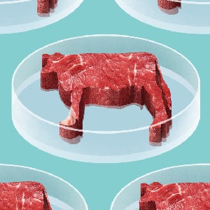 Cultured Beef - © gizmondo.com