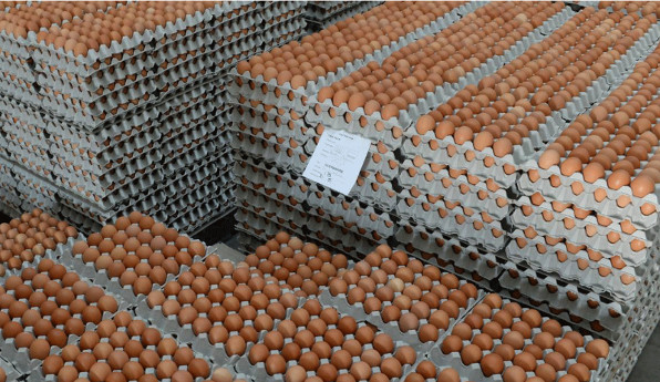 Mountain of Eggs - © artigercek.com