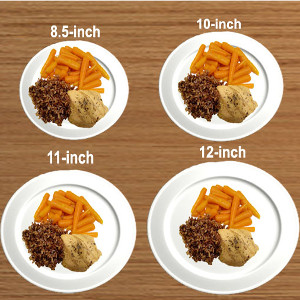 Plate Sizes - © dietitians-online.blogspot.com