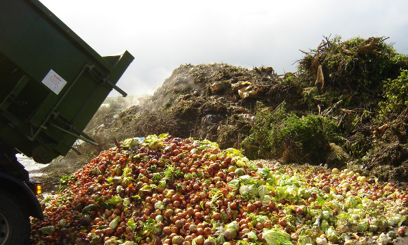 Wasted Food Dump - © thehansindia.com