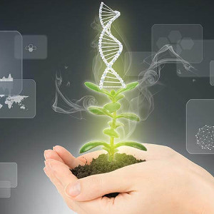 Genetic Engineering - © geneticliteracyproject.org