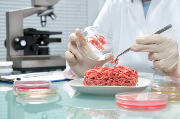 Lab Grown Clean Meat - © foodnavigator.com