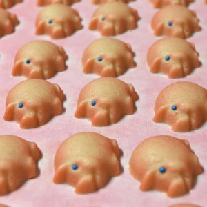 German Candy Pigs - © CNN Travel