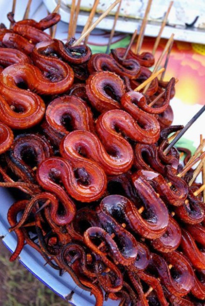 Chinese BBQ Snake - © foodyoushouldtry.com