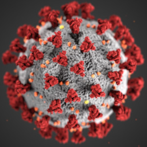 Coronavirus - COVID-19 - © 2020 CDIC