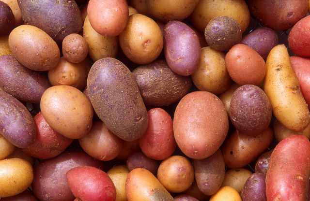 Potatoes - © Wikipedia