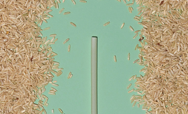 Rice Straw Portrait - © 2021 EcoSmart