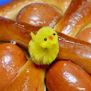 Portuguese Easter Chick - © ncultura.pt