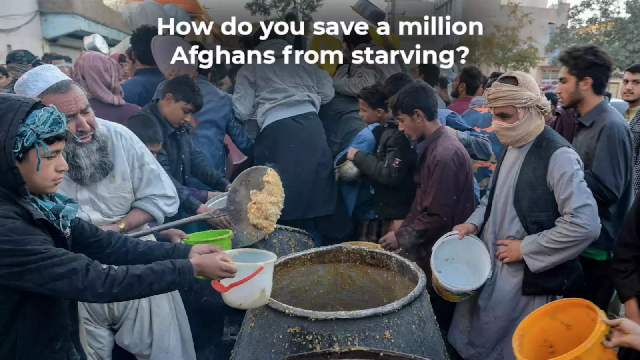 Afghanistan Starving - © 2021 Times of India