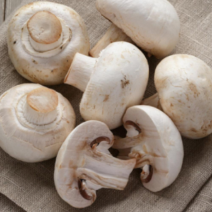 Mushrooms - © USDA