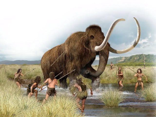Woolly mammoth - © Wikipedia Commons