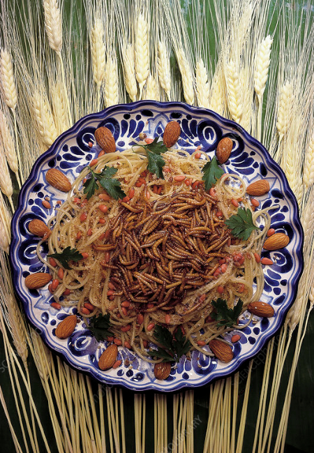 Mealworms with Spaghetti - © Science Photo Library