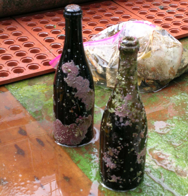 Ocean Fathoms bottles - © 2023 Kim F - Flickr