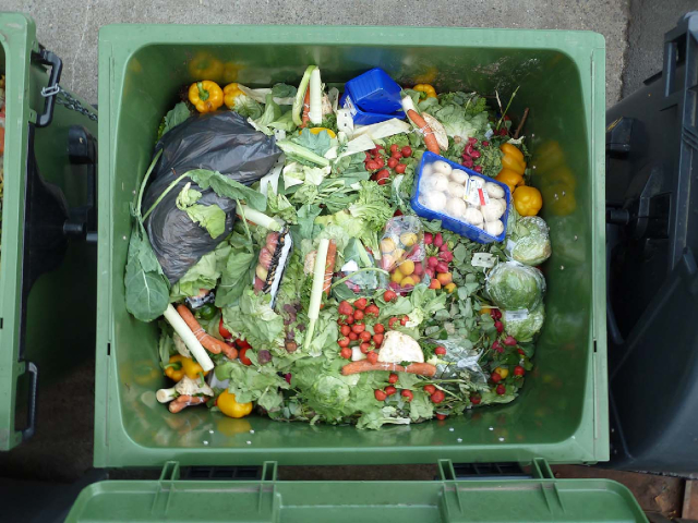 Home Food Waste - © Foerster - Wikipedia Commons
