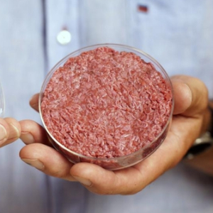 Cultured Meat - Petri Dish - © Newsweek