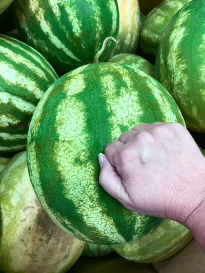 Tap a Melon - © 2019 - thegunnysack.com