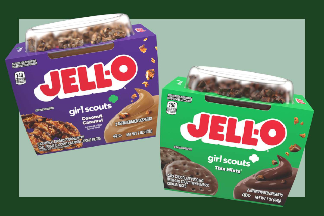 Girl Guides Puddings - © 2024 - Jello
