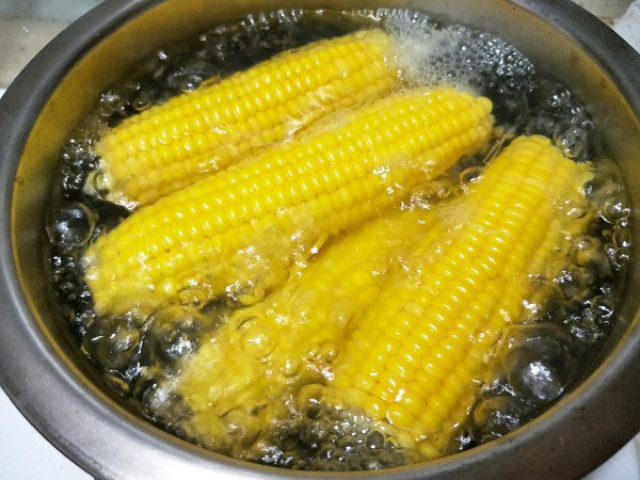Boiling Corn - © 2024 - Lucia Garcia via Quora
